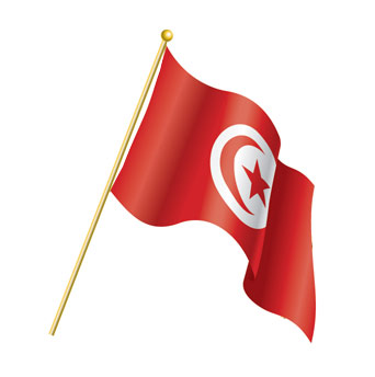 الجمهورية التونسية يمثلها سعادة السيدة/ رجـــاء بولبيار - مستشار المصالح العمومية والمديرة العامة للإدارة العامة للتقديرات - وزارة الاقتصاد والتخطيط 